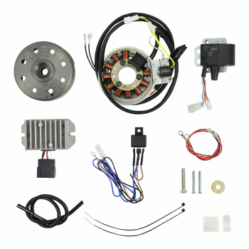 VAPE Zündung, Zündanlage (6V/100W), MZ ES175, ES250, ES300, ETS250